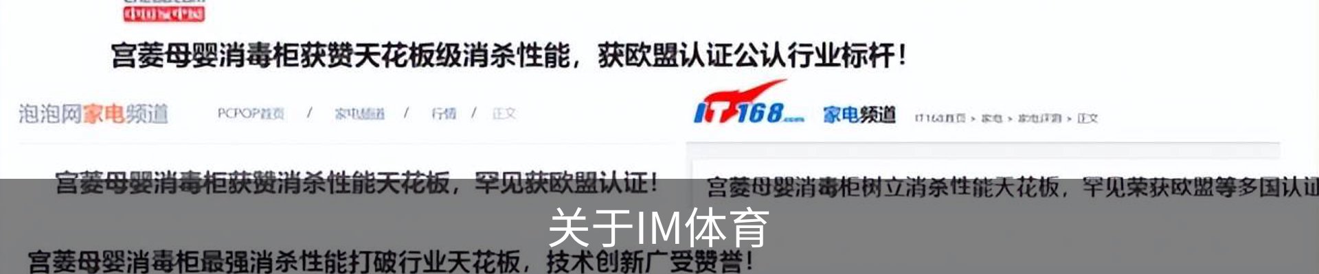 关于IM体育